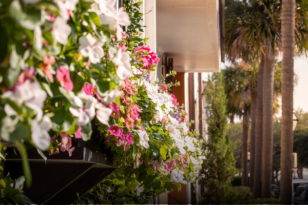 Downtown Charleston luxury home surrounded by historic architecture in the heart of the Lowcountry