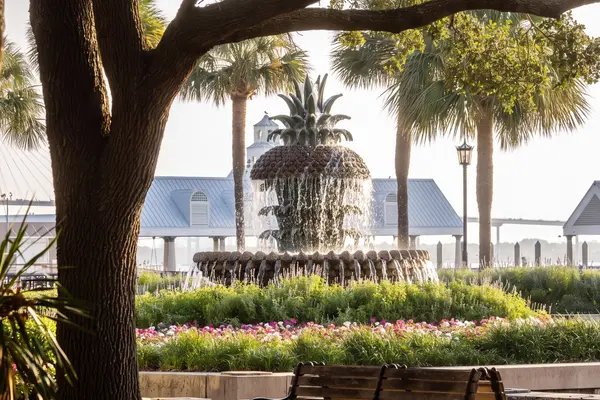 Charleston vs. Naples luxury retirement living and real estate lifestyle comparison
